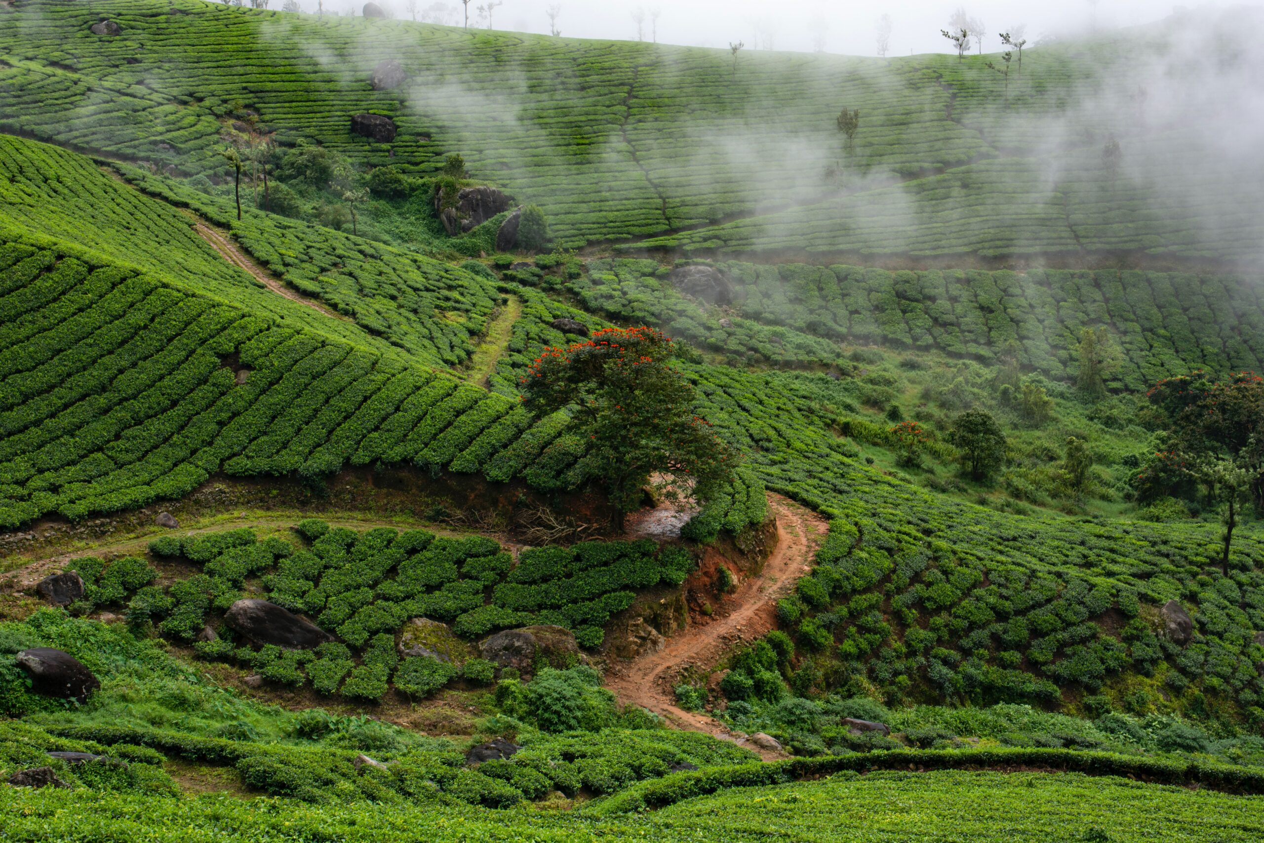 Kerala