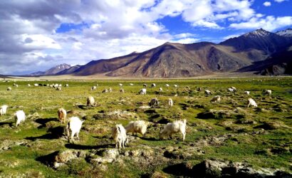 Magical Ladakh