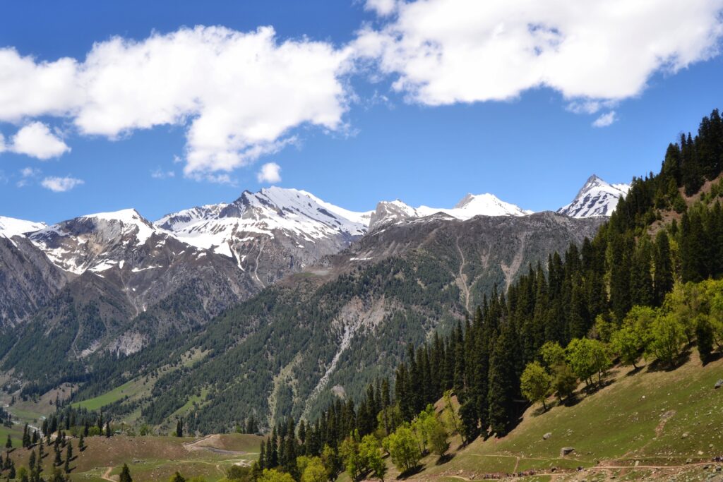 5N Heavenly Kashmir Family Package